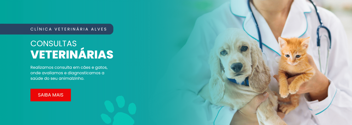 banner-home-clinica-veterinaria-alves