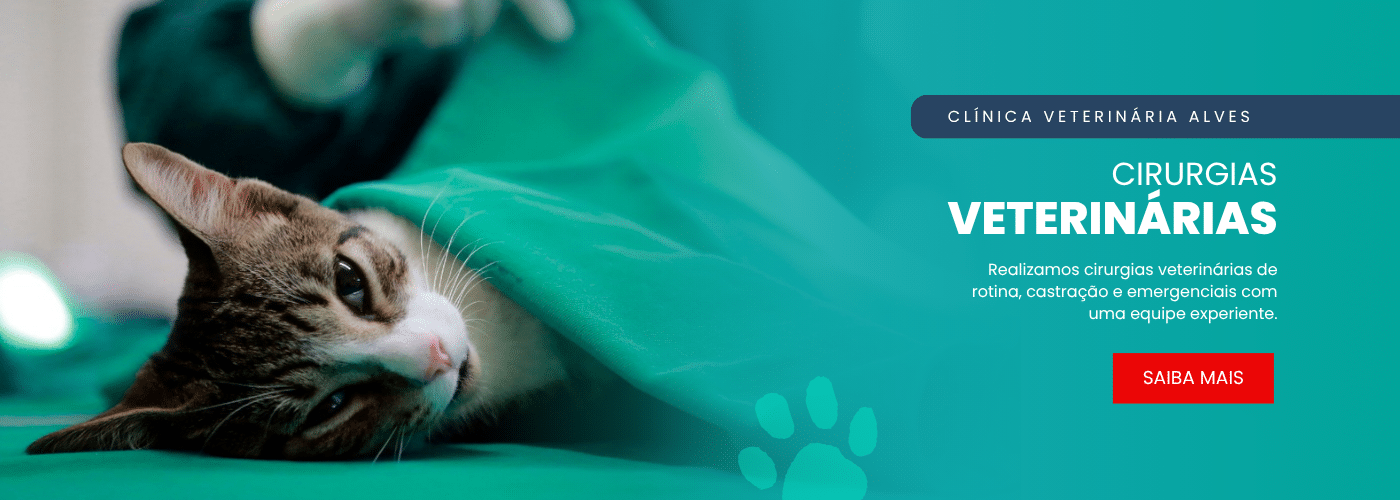 banner-home-clinica-veterinaria-alves2