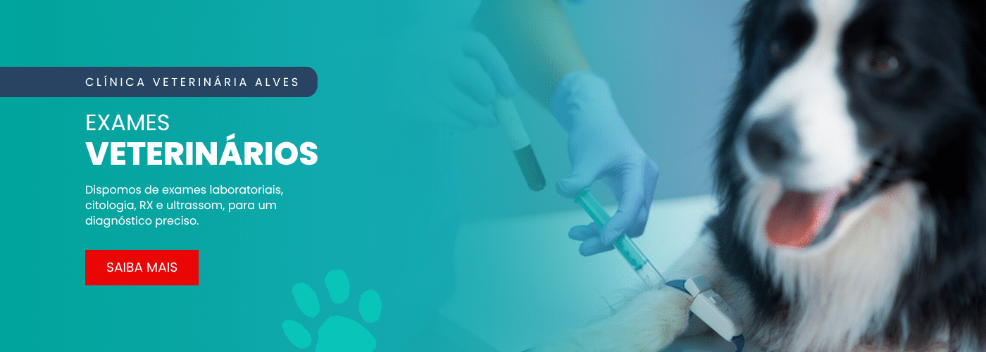 banner-home-clinica-veterinaria-alves3